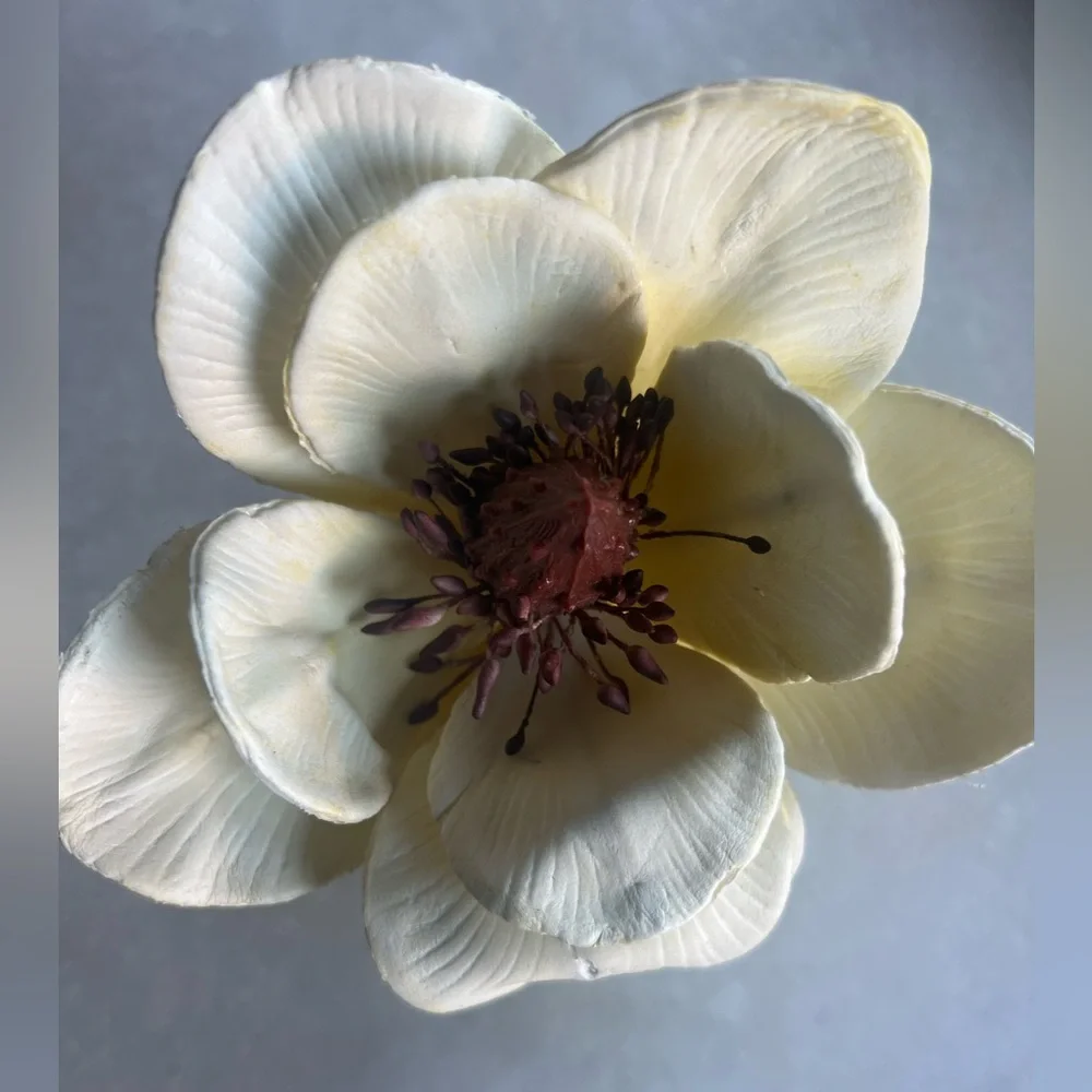 Z Gallerie Vintage Magnolia Napkin Rings – Set of 6 – Cream Floral Table Decor